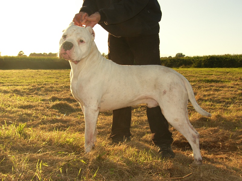 Publication : Burning heads'