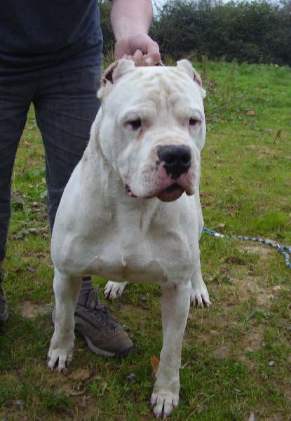 Publication : Burning heads'