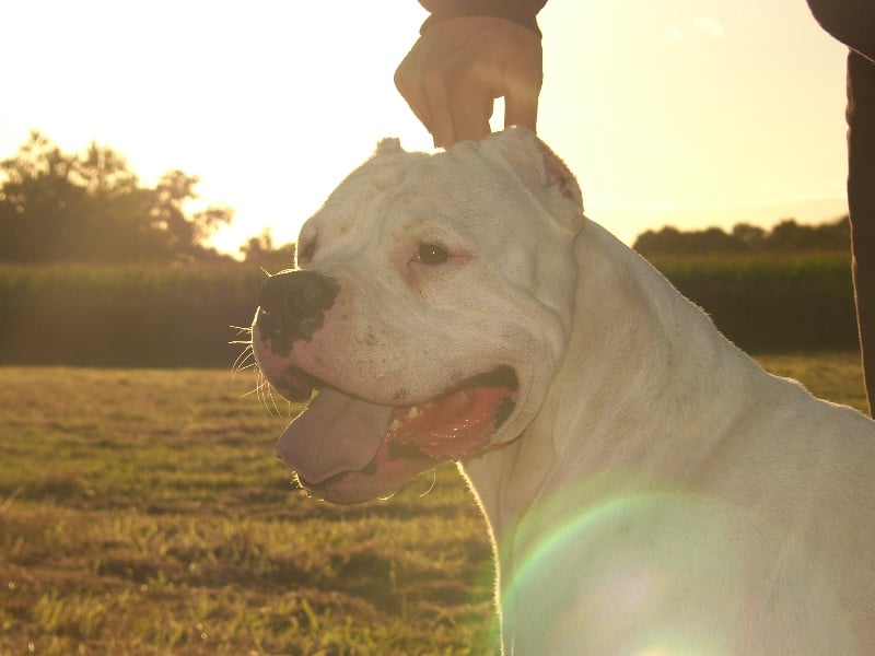 Publication : Burning heads'