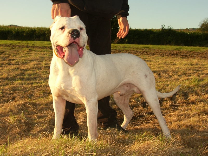 Publication : Burning heads'