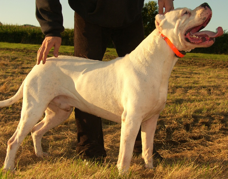 Publication : Burning heads'