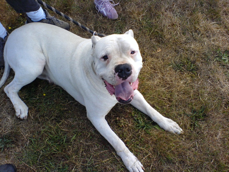 Publication : Burning heads'