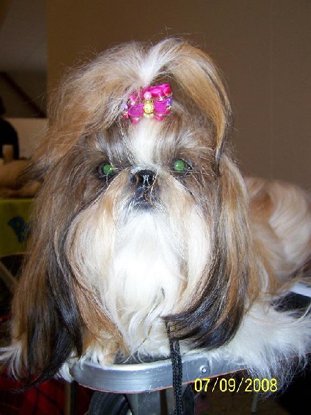 Cimbellyne des Roses de Corail