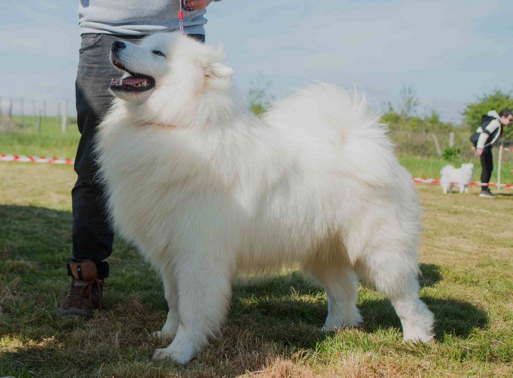 smiling miracle Rosy moon nelson