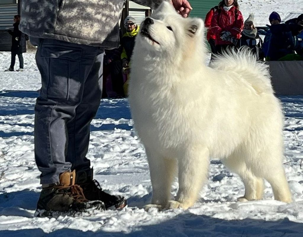 smiling miracle Rosy moon nelson