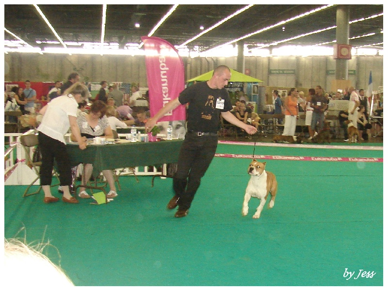 Cierra Skyla Combreux d'Emozioni Breizh - 2 eme EX RCACS RCACIB