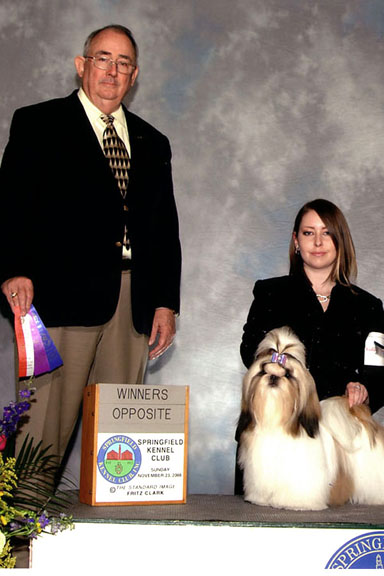 Publication : des joyaux du mas enchante