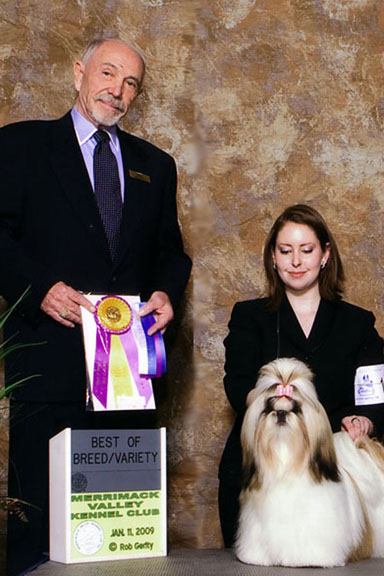 Publication : des joyaux du mas enchante