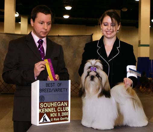 Publication : des joyaux du mas enchante