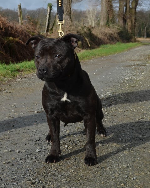 F'sun is up dite fergie De karysha