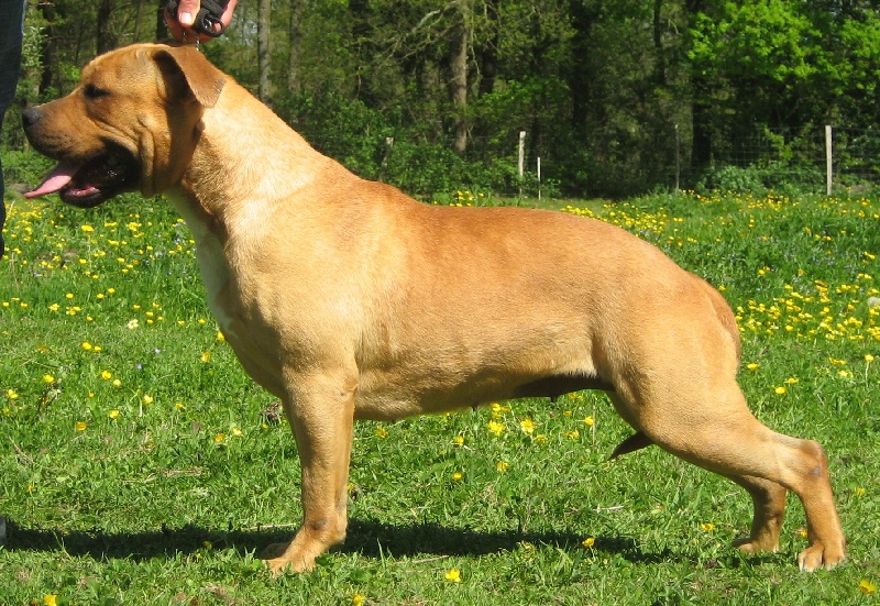 Publication : De karysha