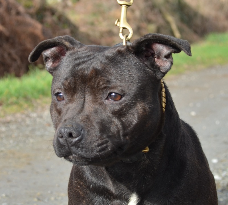 F'sun is up dite fergie De karysha