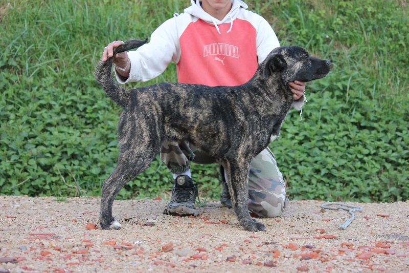 Publication : da casa da praia Auteur : Elody PIOT