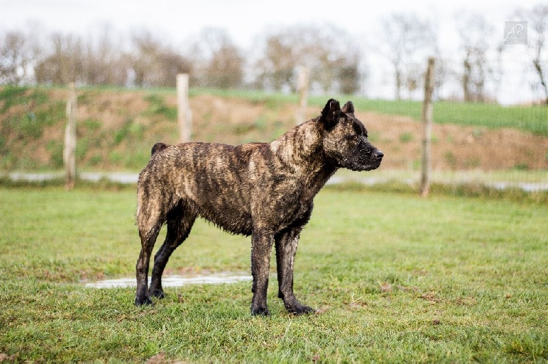 Publication : de l'Orée des charmois Auteur : odc