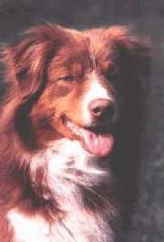 Publication : de l'Orée des charmois