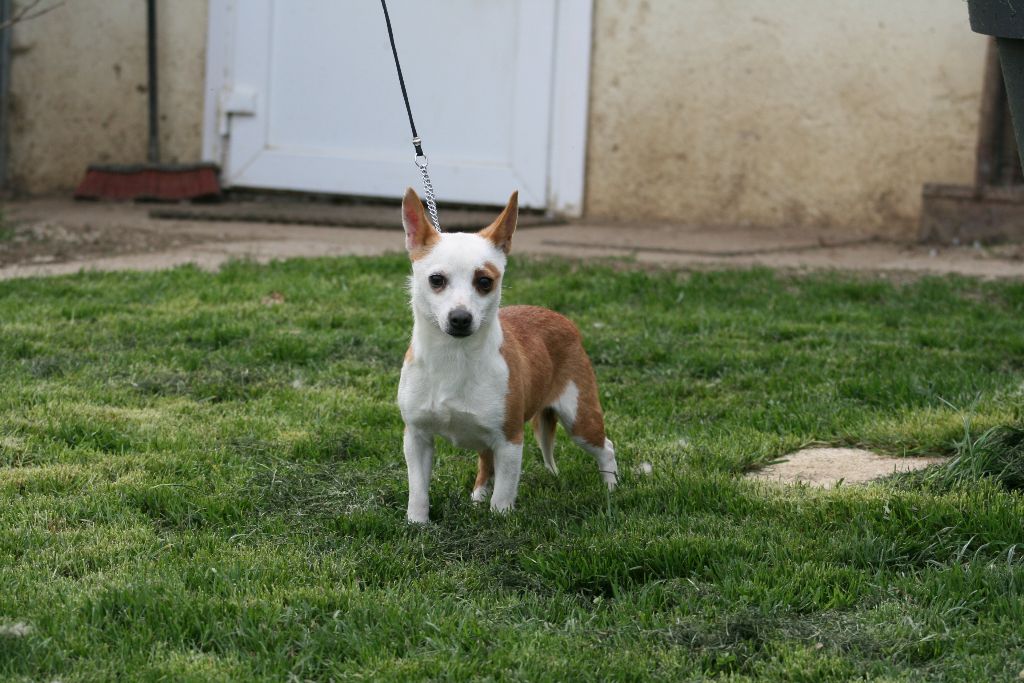 Publication : de l'Orée des charmois Auteur : odc