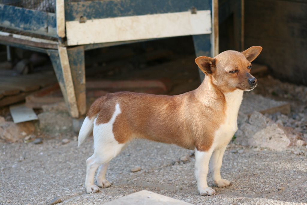 Publication : de l'Orée des charmois Auteur : odc