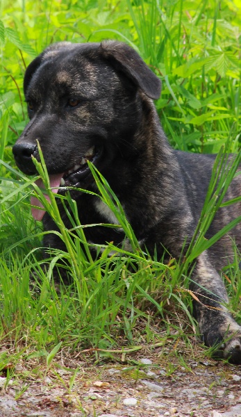 Publication : da casa da praia Auteur : Elody PIOT