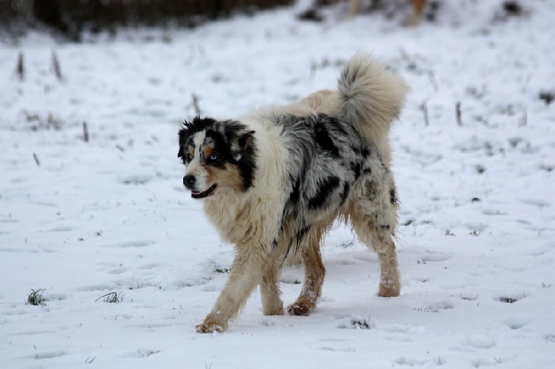 Publication : de l'Orée des charmois Auteur : Fleurianne Bernard