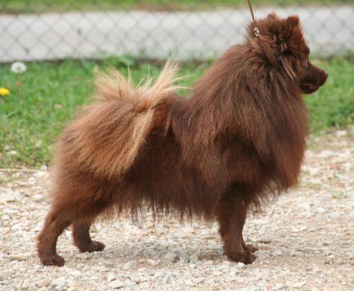 Publication : de l'Orée des charmois Auteur : Elody Piot