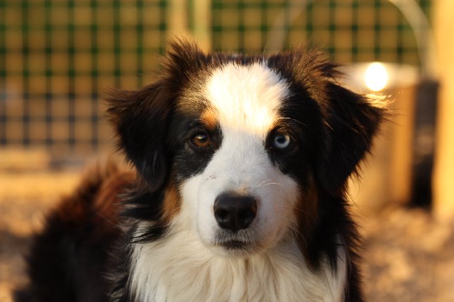 Publication : de l'Orée des charmois Auteur : odc