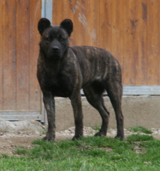 Publication : de l'Orée des charmois Auteur : odc