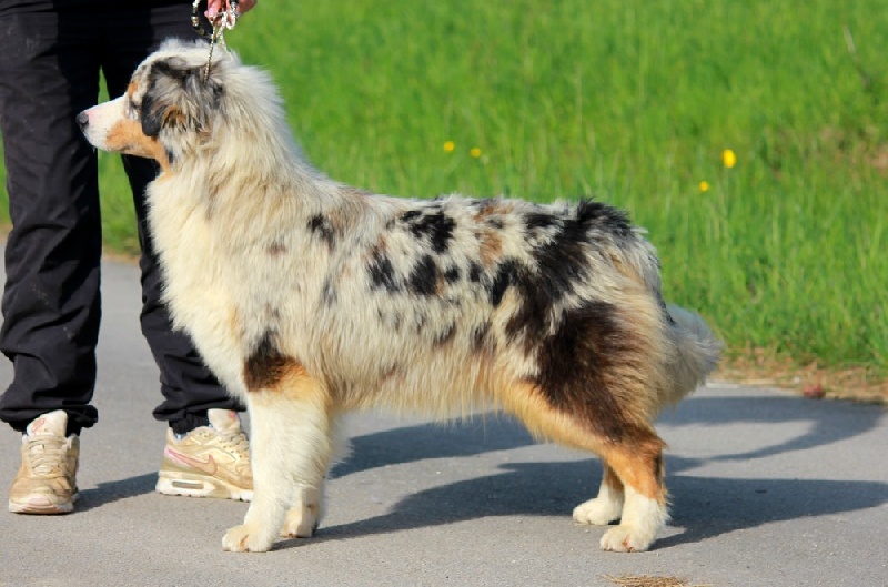 Publication : de l'Orée des charmois Auteur : Elody Piot