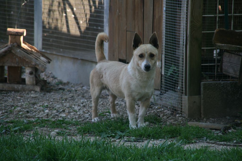 Publication : de l'Orée des charmois Auteur : odc