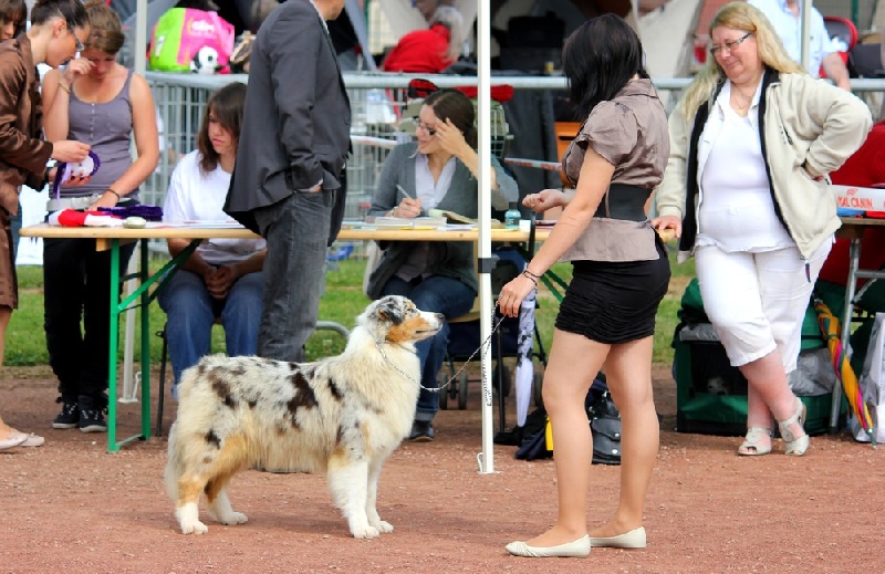 Fashion mary connell de l'Orée des charmois - 2e EXC