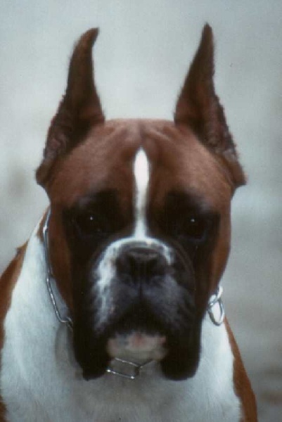 Publication : De la source des mayans