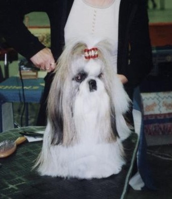 CH. Rev 'elle 'action de morganan' dho