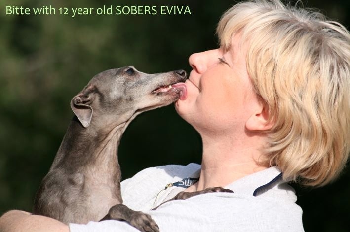 Publication : du domaine de Chanteloup