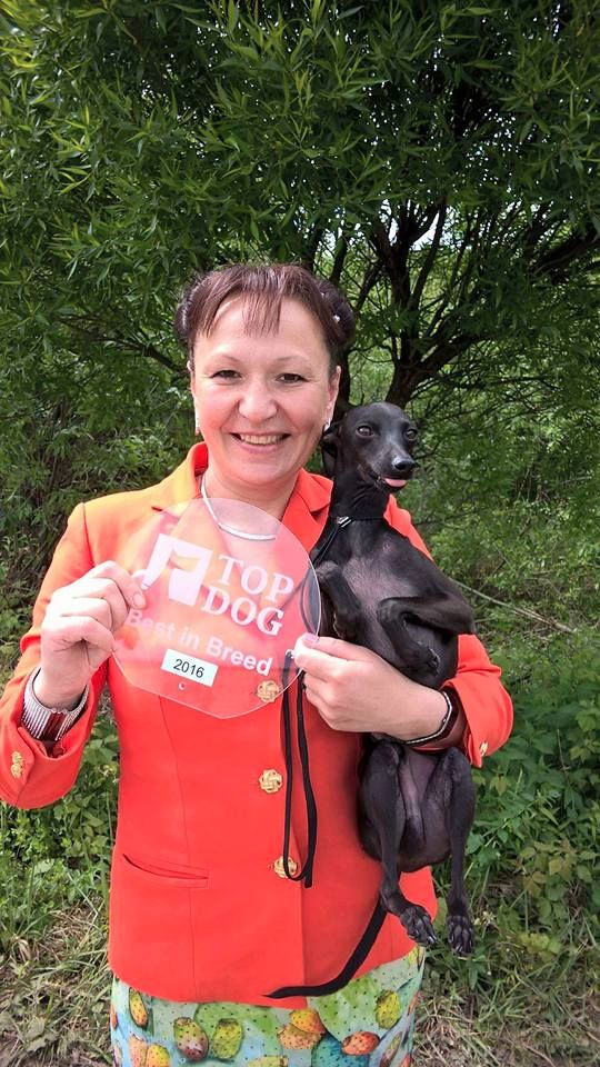 CH. Nubiad Loverly trussardi - CW CAC BOB BOG#2