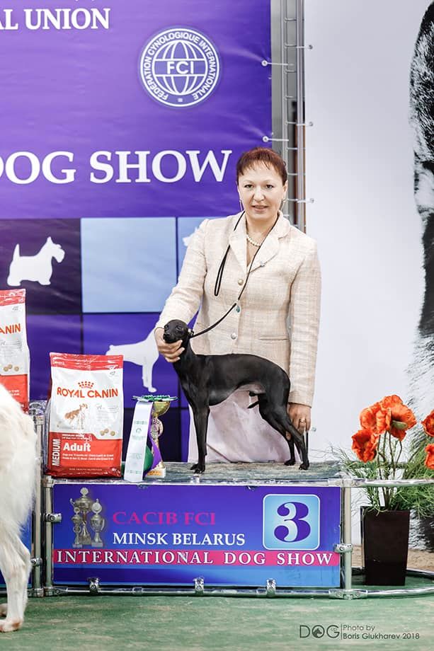 CH. Nubiad Loverly trussardi - CW CAC CACIB BOB BOG#3