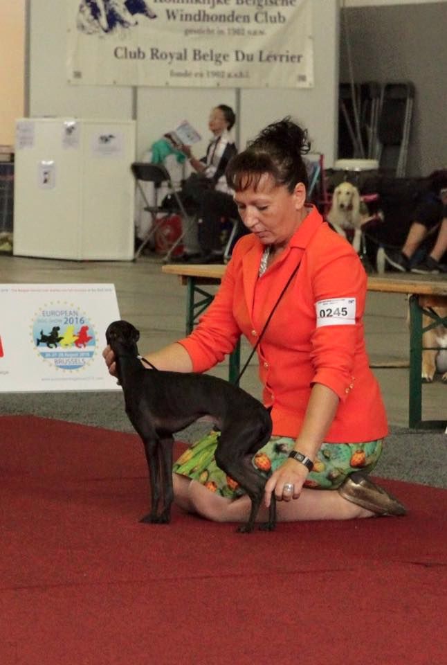 CH. Nubiad Loverly trussardi - CW-2 Vice European Junior Winner