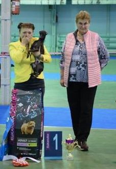 CH. Nubiad Loverly trussardi - CW CAC BOB BOG#1