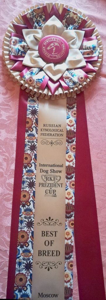 CH. Nubiad Loverly trussardi - Class winner CACIB BOB