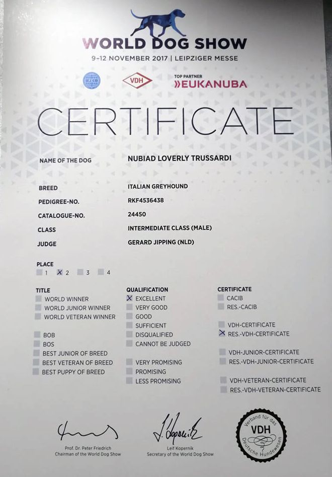 CH. Nubiad Loverly trussardi - CW-2 RES VDH-CAC