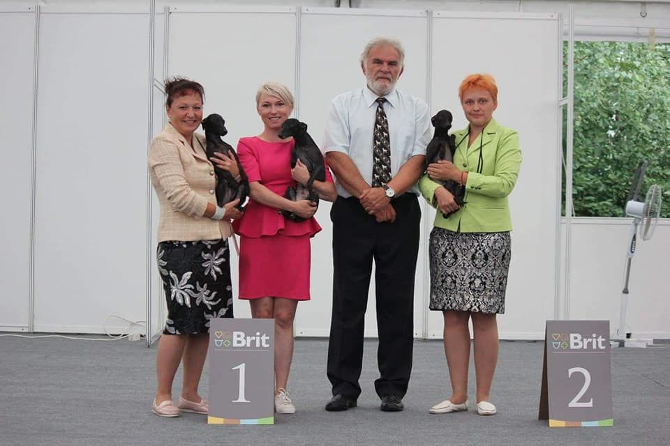 CH. Nubiad Loverly trussardi - CW CACIB