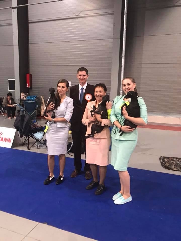 CH. Nubiad Loverly trussardi - CW CAC CACIB BOB