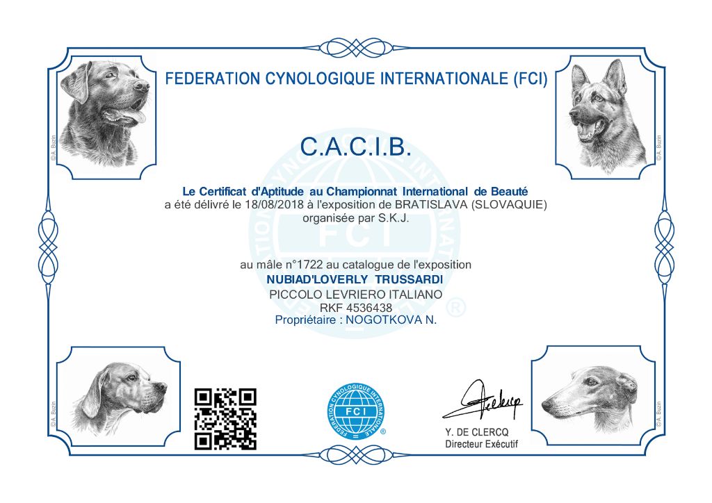 CH. Nubiad Loverly trussardi - CW CACS CACIB ...