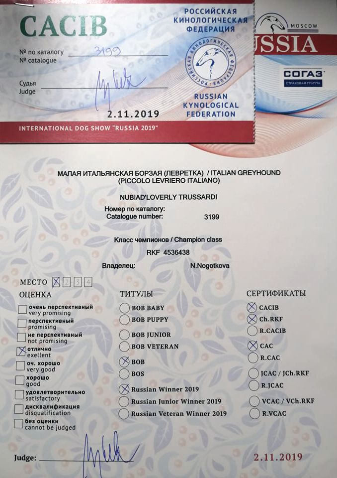CH. Nubiad Loverly trussardi - CW CACIB BOB Russian Winner 2019