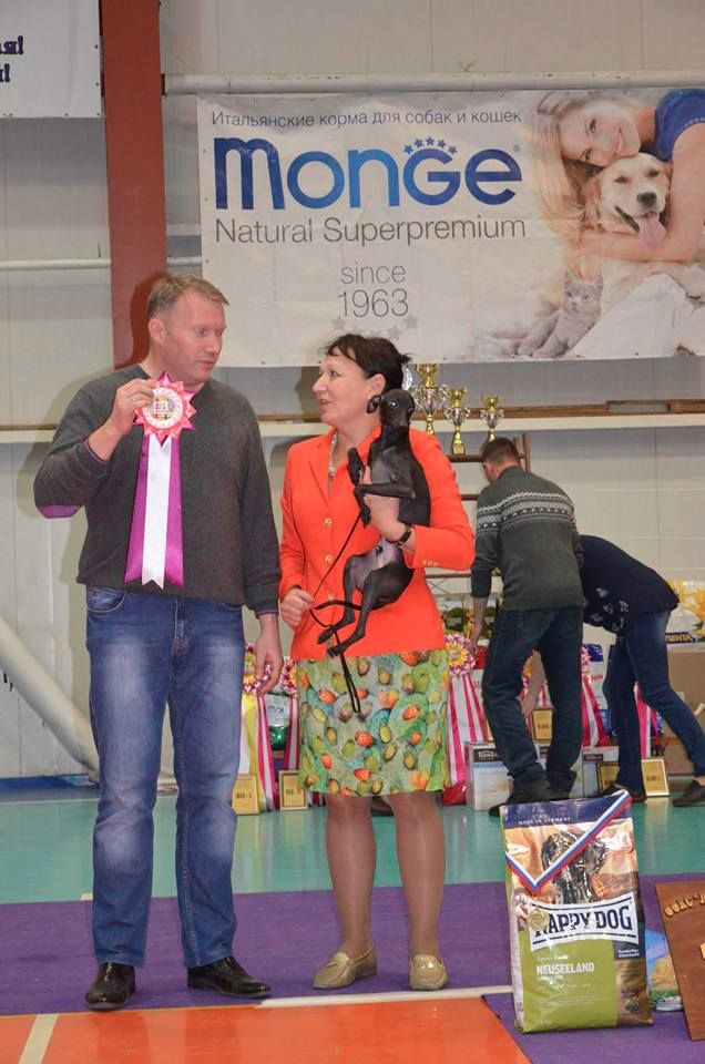 CH. Nubiad Loverly trussardi - CW JCAC JBOB BOB BOG#1