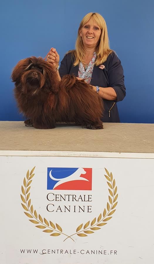 Publication : Du printemps des olivets Auteur : Christelle GRAND