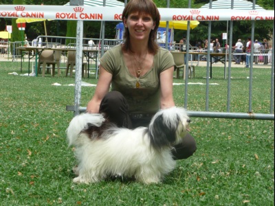 Publication : Du printemps des olivets Auteur : christelle grand