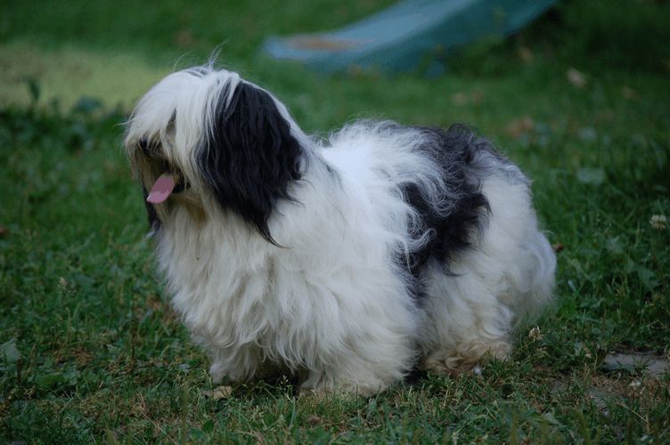 Publication : Du printemps des olivets Auteur : christelle grand