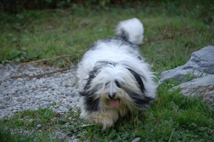 Publication : Du printemps des olivets Auteur : christelle grand