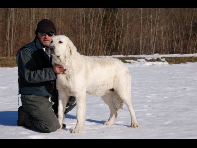 Publication : Du printemps des olivets Auteur : Christelle GRAND