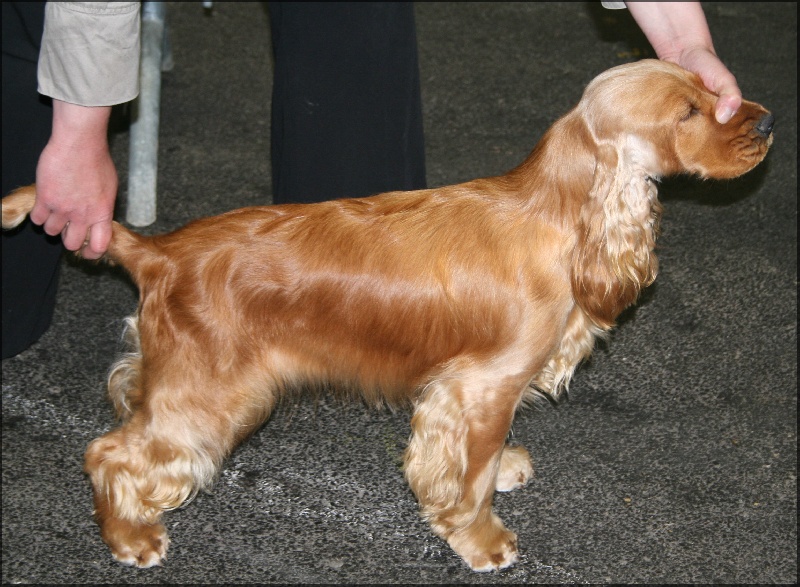 Enjoy girl de l'Isle aux Lutins