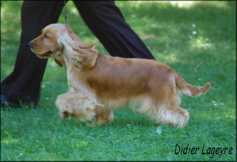 Enjoy girl de l'Isle aux Lutins